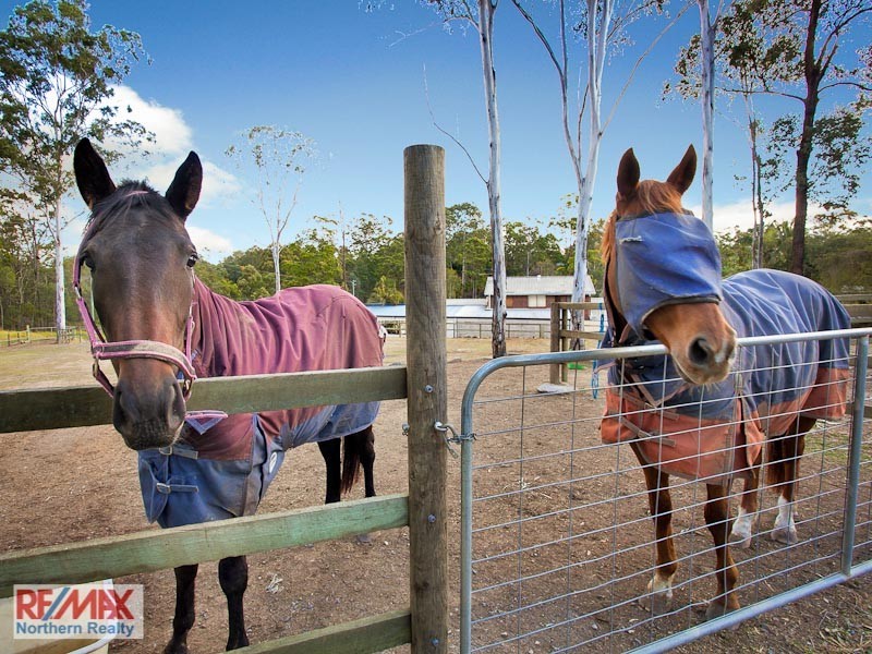 3 Starling Street, Warner QLD 4500