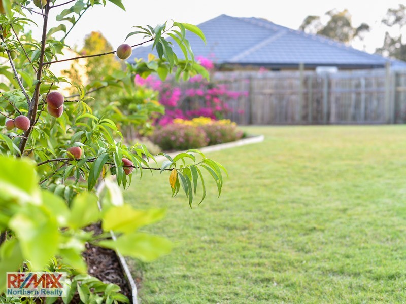 16 Miranda Street, Warner QLD 4500