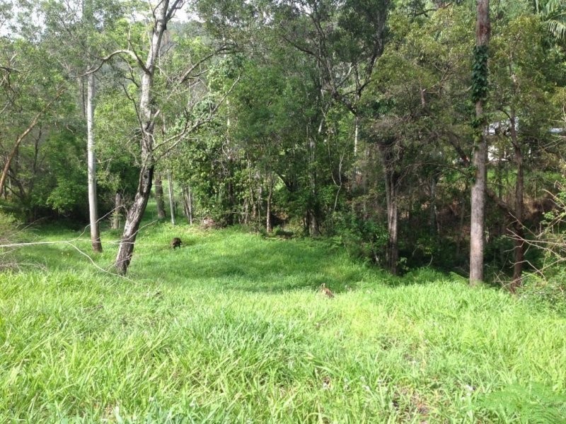 14 Krakatinni Close, Cedar Creek QLD 4520