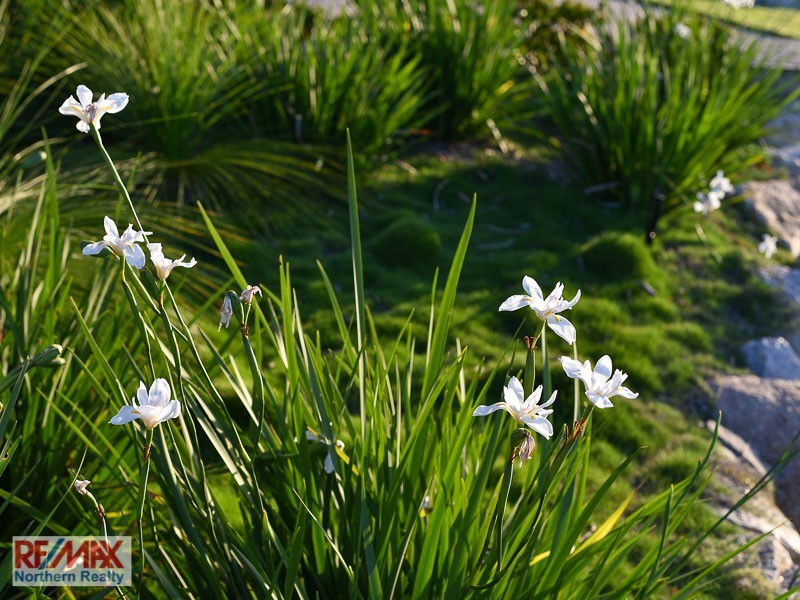 6 Lukla Court, Warner QLD 4500