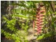 3 Hillgrove Cl, Eatons Hill QLD 4037