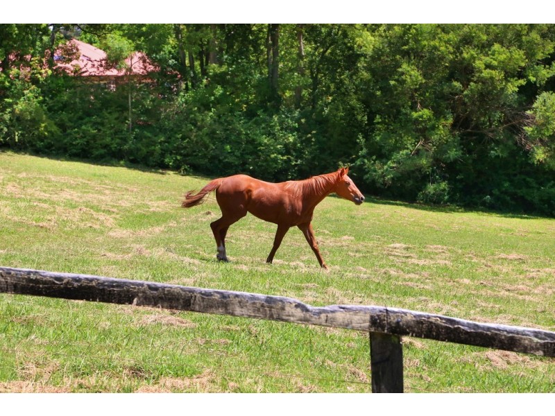 1/54 Coachwood Road, Matcham NSW 2250