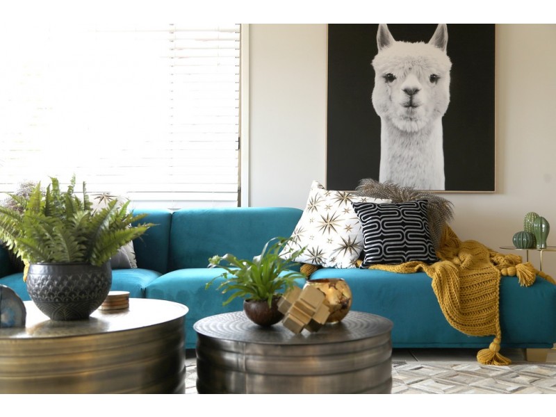 19 Gregory Street, Wyoming NSW 2250