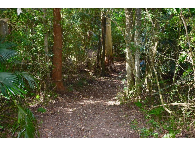 70 Wattle Tree Road, Holgate NSW 2250