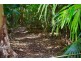 70 Wattle Tree Road, Holgate NSW 2250