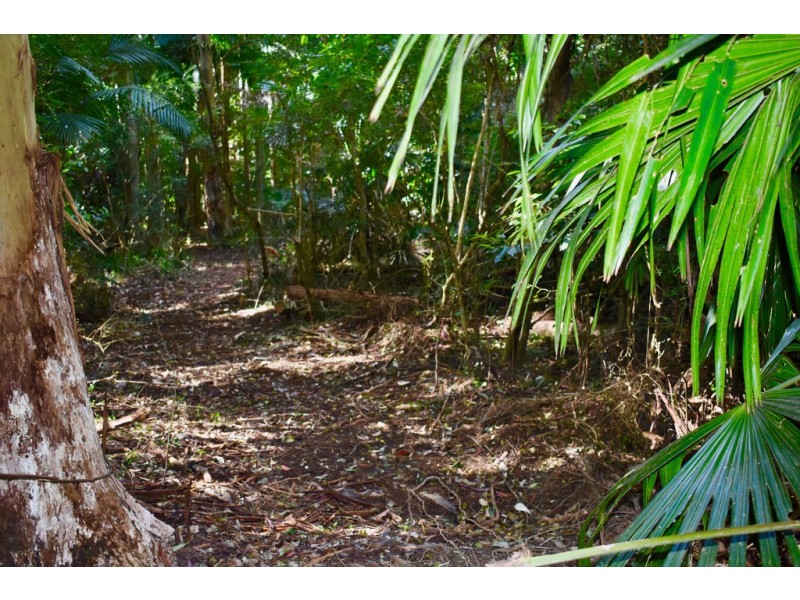 70 Wattle Tree Road, Holgate NSW 2250
