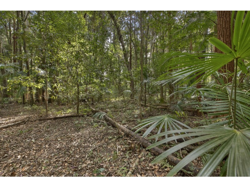 70 Wattle Tree Road, Holgate NSW 2250
