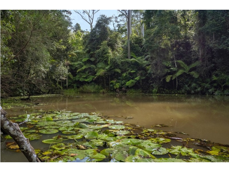 261 Wattle Tree Road, Holgate NSW 2250