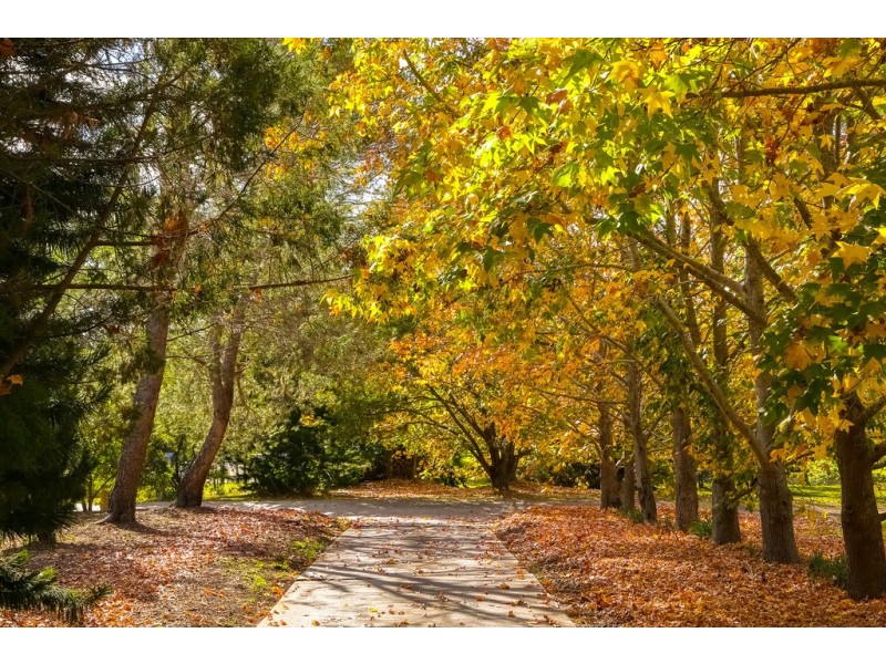 210 Tumbi Road, Tumbi Umbi NSW 2261