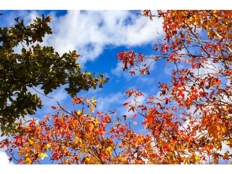 210 Tumbi Road, Tumbi Umbi NSW 2261