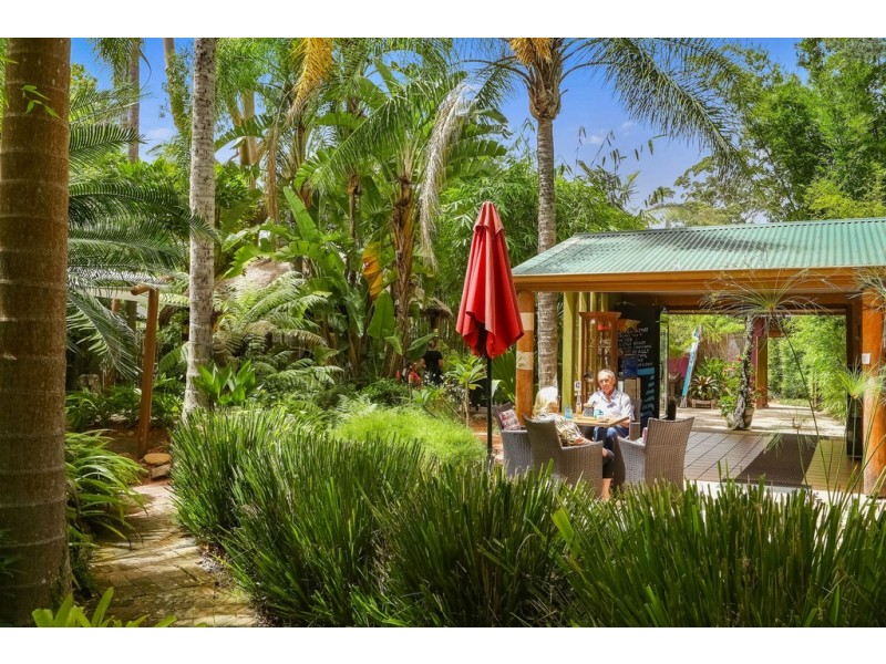 221 Wattle Tree Road, Holgate NSW 2250