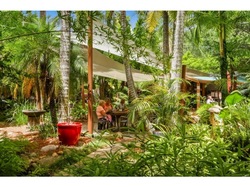 221 Wattle Tree Road, Holgate NSW 2250