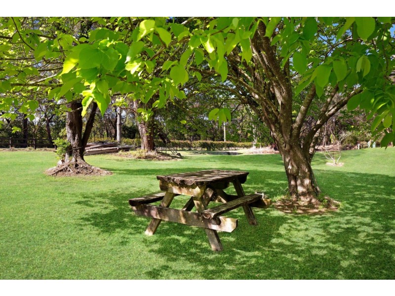 675 Dogtrap Road, Somersby NSW 2250