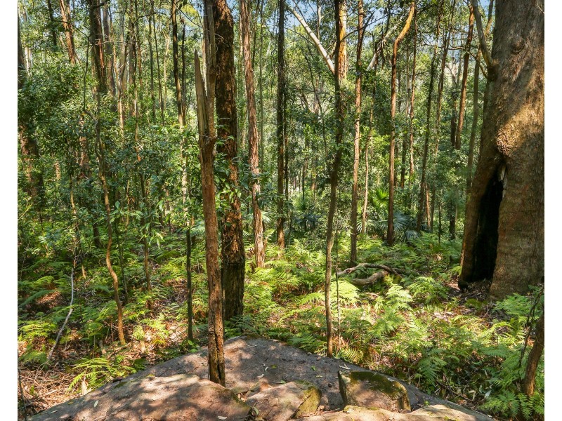 293 Matcham Road, Matcham NSW 2250