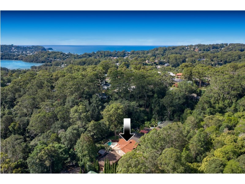 8 Willdenow Road, Avoca Beach NSW 2251