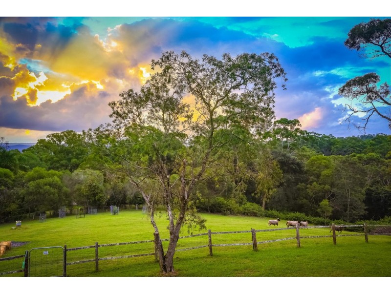 407 The Ridgeway, Lisarow NSW 2250
