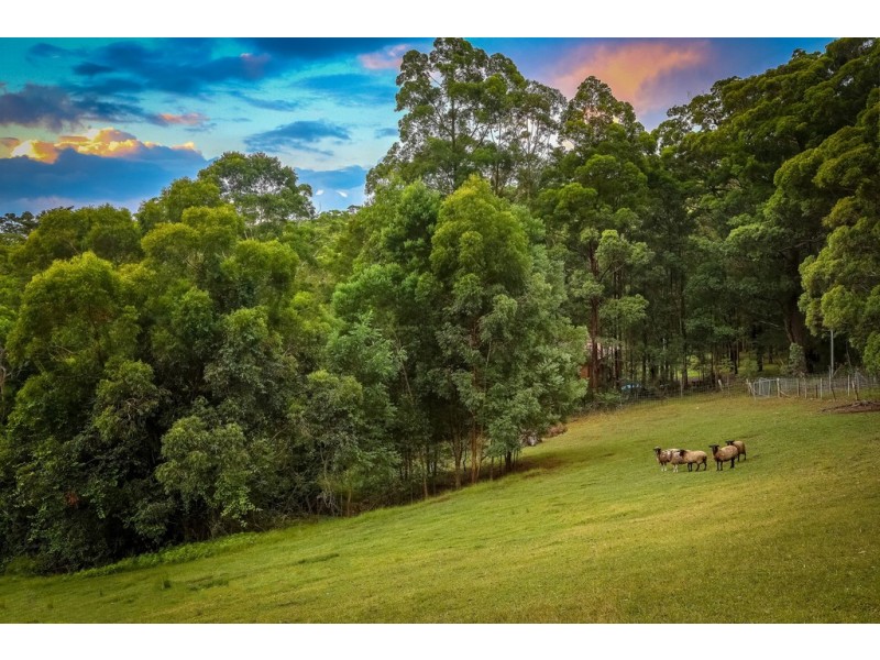407 The Ridgeway, Lisarow NSW 2250