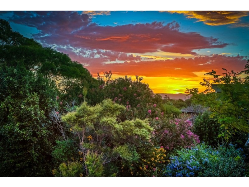 84 The Scenic Road, Killcare Heights NSW 2257