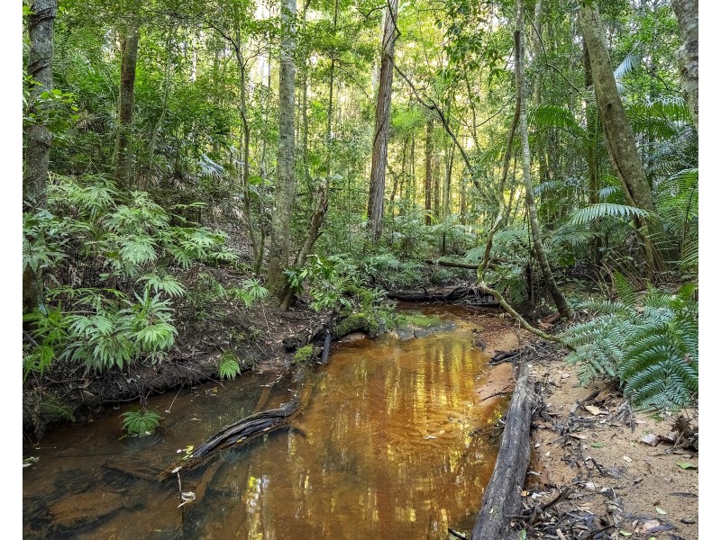 100 Glen Road, Niagara Park NSW 2250