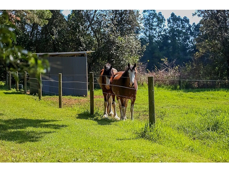Prop Lot 2/970 Wisemans Ferry Road, Somersby NSW 2250