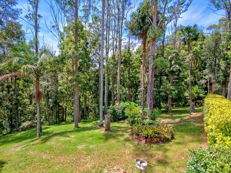 64 Tapley Road, Mount Elliot NSW 2250