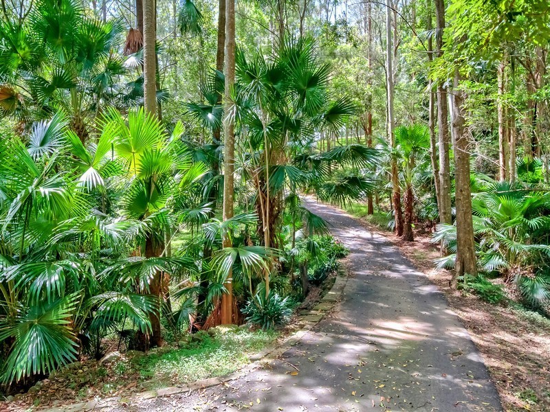 64 Tapley Road, Mount Elliot NSW 2250