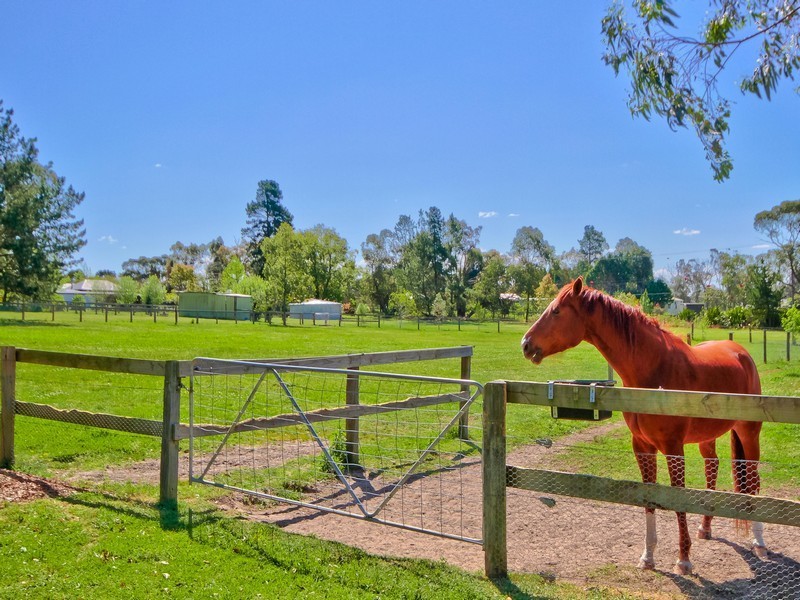 2  Niclins Road, Mangrove Mountain NSW 2250