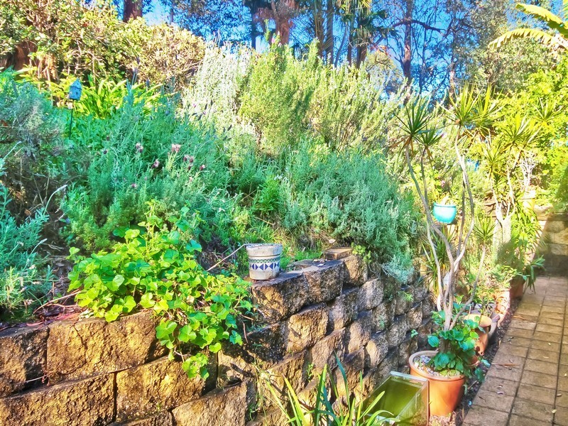 227 Oak Road, Matcham NSW 2250