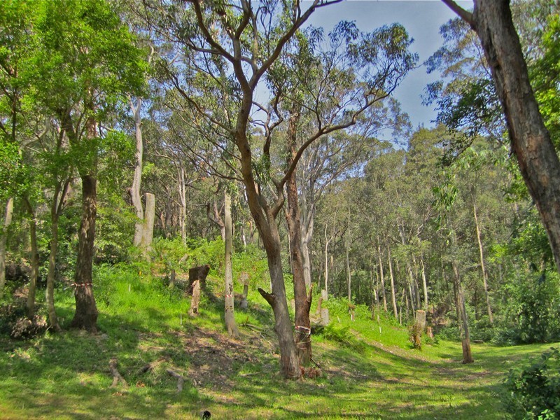 12 Heath Road, Hardys Bay NSW 2257