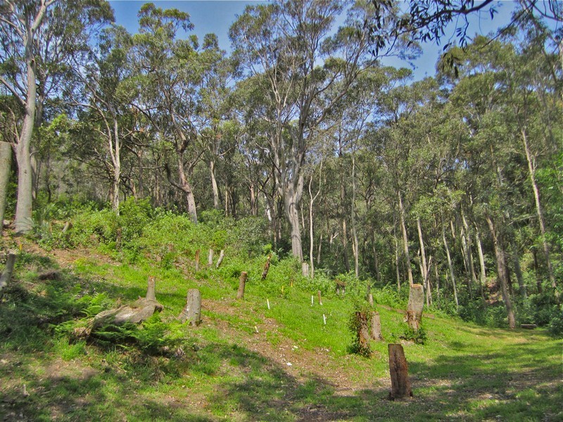 12 Heath Road, Hardys Bay NSW 2257