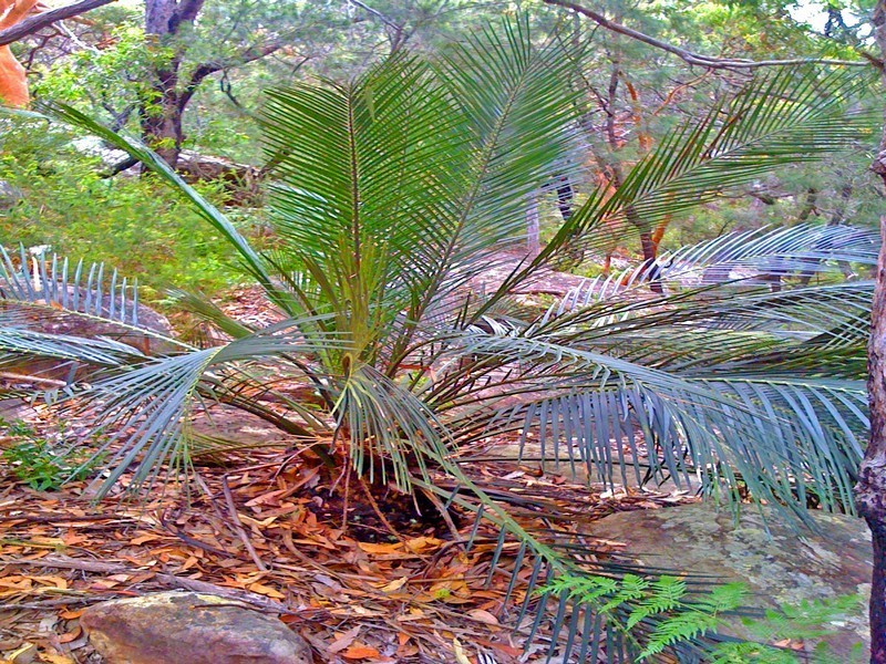 12 Heath Road, Hardys Bay NSW 2257