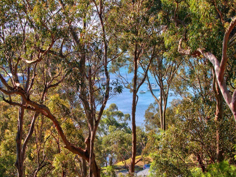 10 Flora Avenue, Hardys Bay NSW 2257