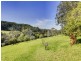 715 The Scenic Road, Macmasters Beach NSW 2251