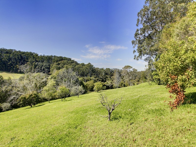 715 The Scenic Road, Macmasters Beach NSW 2251