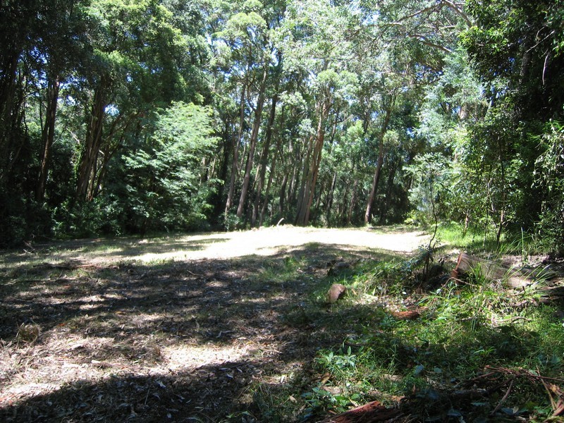 18 Paroo Road, Holgate NSW 2250