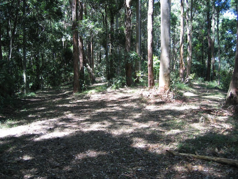 18 Paroo Road, Holgate NSW 2250