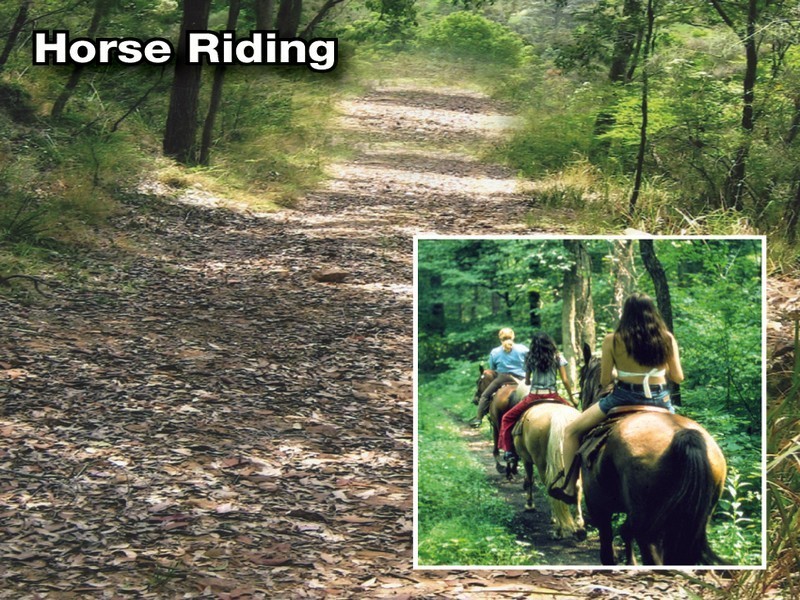 Lot 300 Rose Hill Lane, Yarramalong NSW 2259