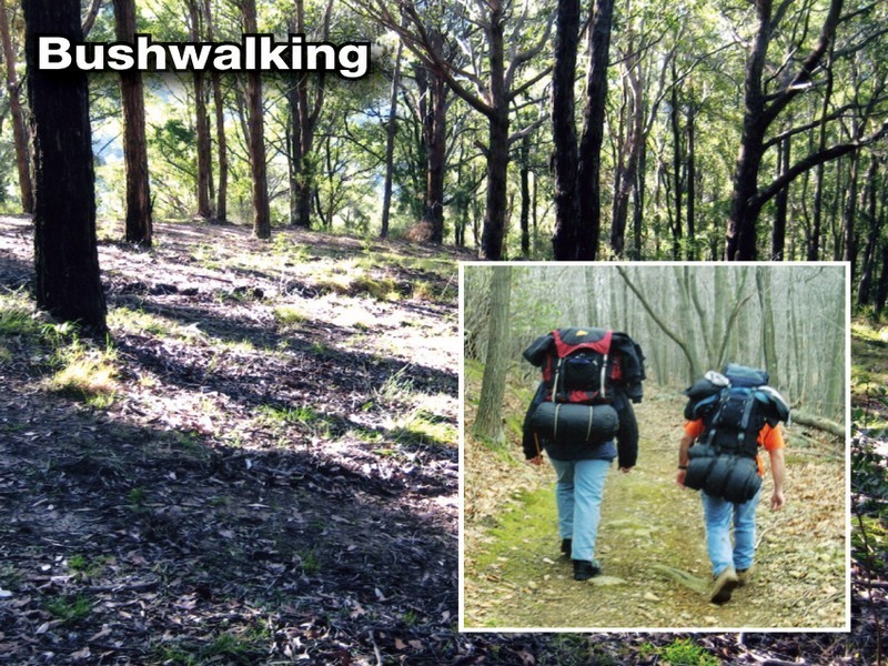 Lot 300 Rose Hill Lane, Yarramalong NSW 2259