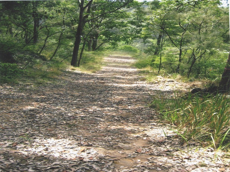 Lot 300 Rose Hill Lane, Yarramalong NSW 2259