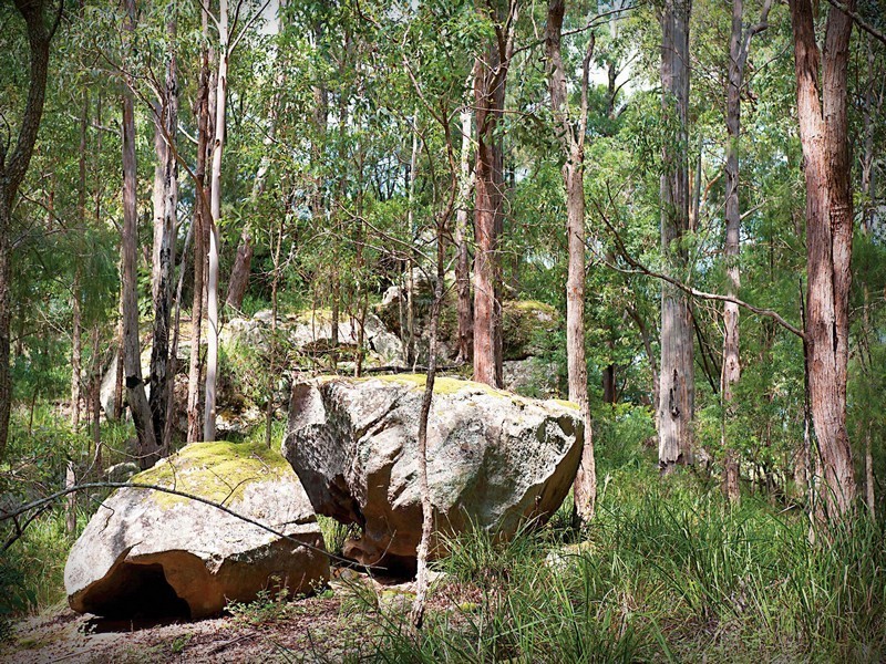 Lot 300 Rose Hill Lane, Yarramalong NSW 2259