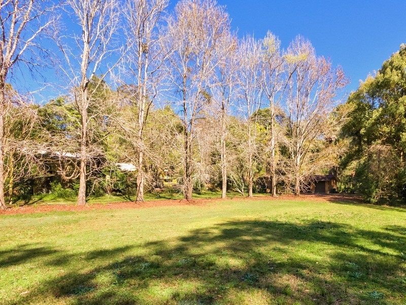 195 Wattle Tree Road, Holgate NSW 2250