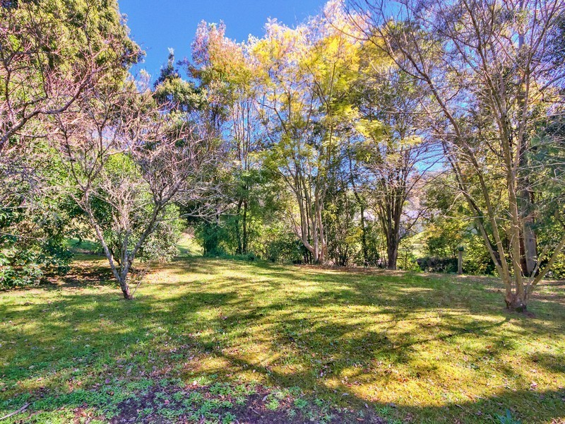 195 Wattle Tree Road, Holgate NSW 2250