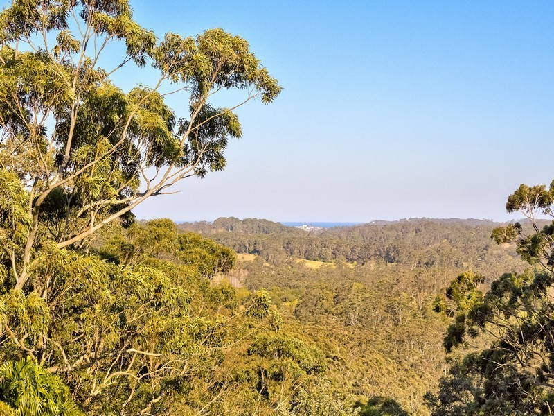 272 The Ridgeway, Holgate NSW 2250