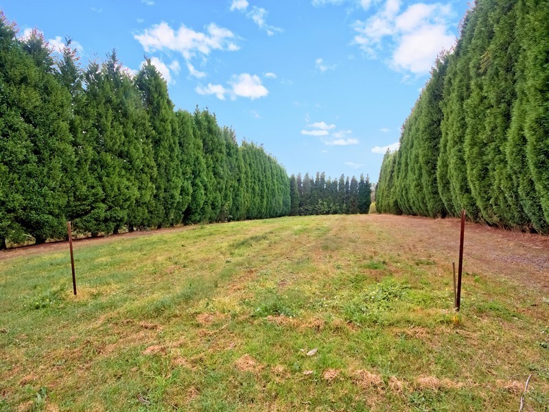 36 Barnes Road, Kulnura NSW 2250