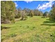 319 Wattle Tree Road, Holgate NSW 2250