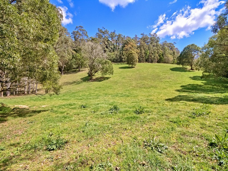 319 Wattle Tree Road, Holgate NSW 2250