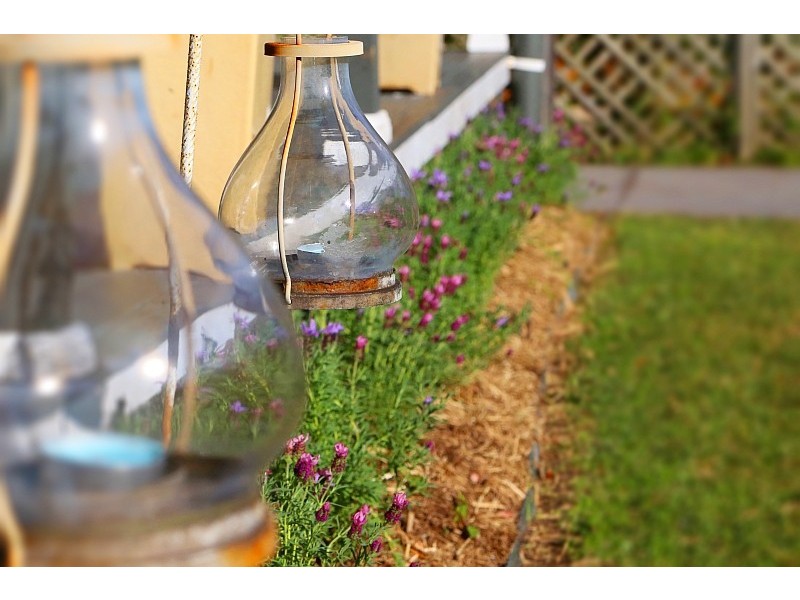 6 Lynnette Crescent, East Gosford NSW 2250