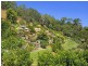 21 The Scenic Road, Killcare NSW 2257