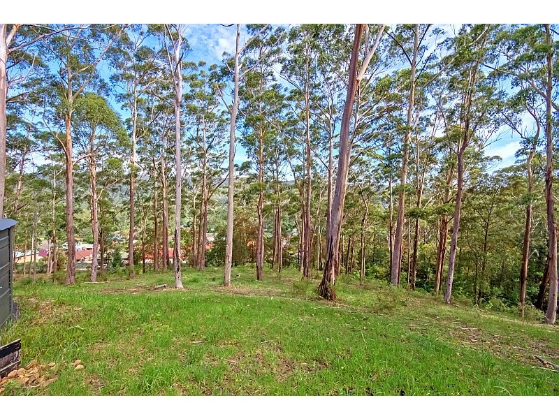 125 Berrys Head Road, Narara NSW 2250