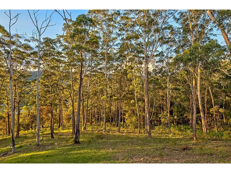 125 Berrys Head Road, Narara NSW 2250